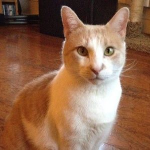 Meet your Posher, Patricia